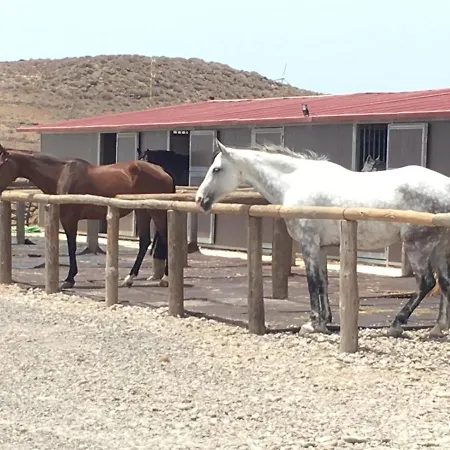 Lägenhet Bed&ride La Manigua *