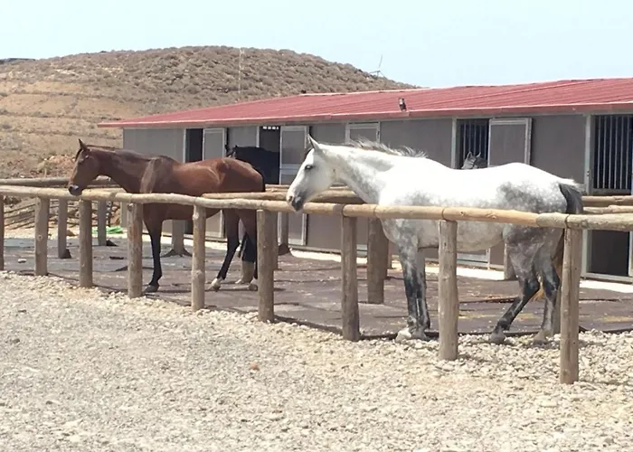 Lejlighed Bed&ride La Manigua *
